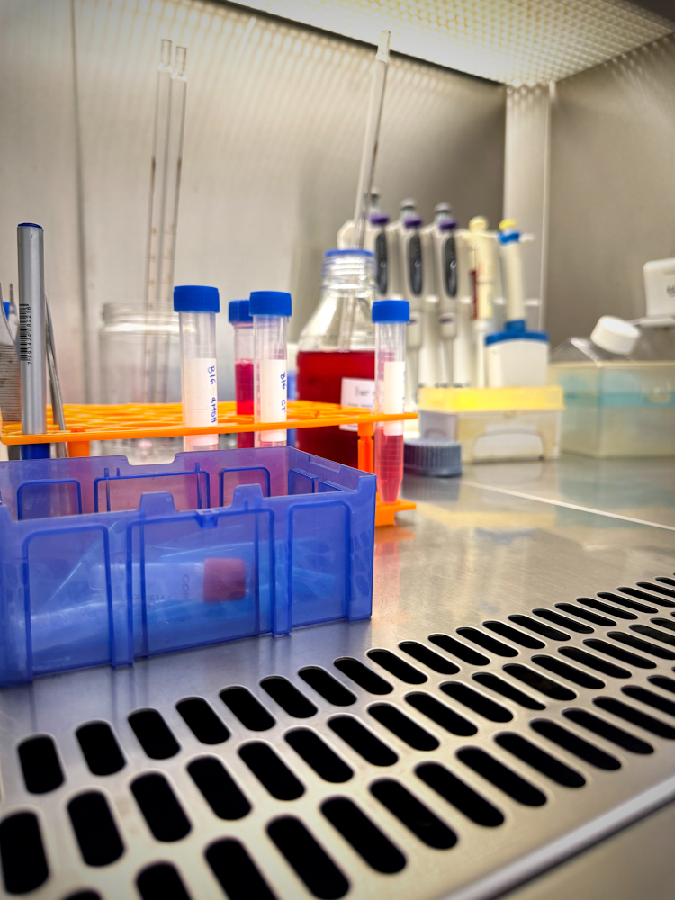 nucelo-vitro-01
